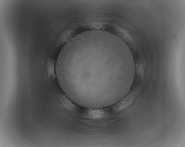X0000111780185200907231130