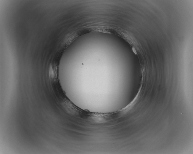 X0000111780190200907231130
