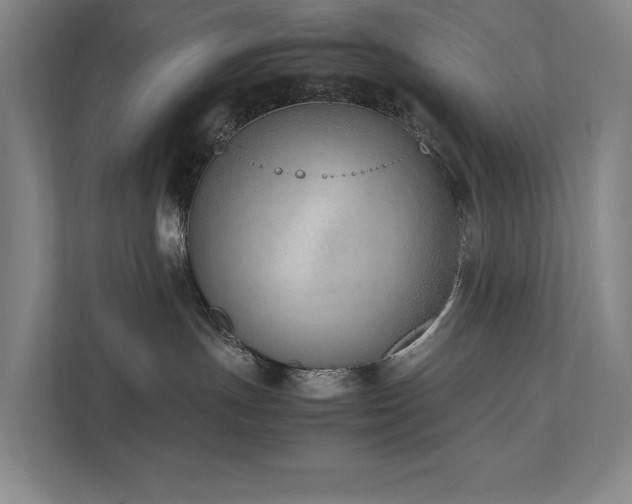 X0000111780191200907231130