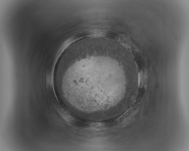 X0000111780195200907231129