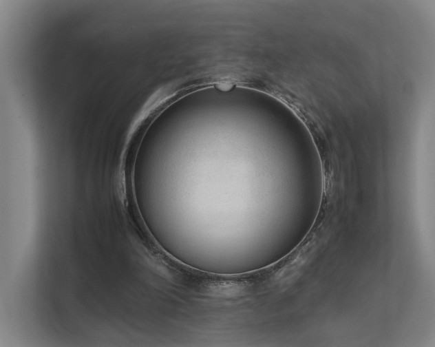 X0000111780198200907231129