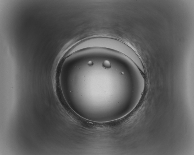 X0000111780199200907231129