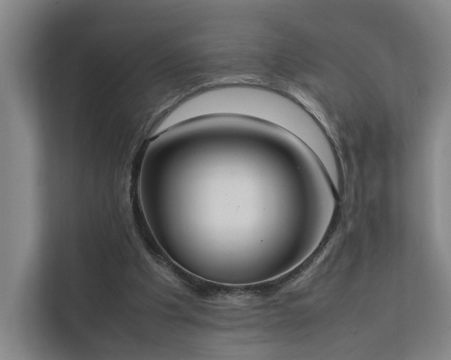 X0000111780201200907231129