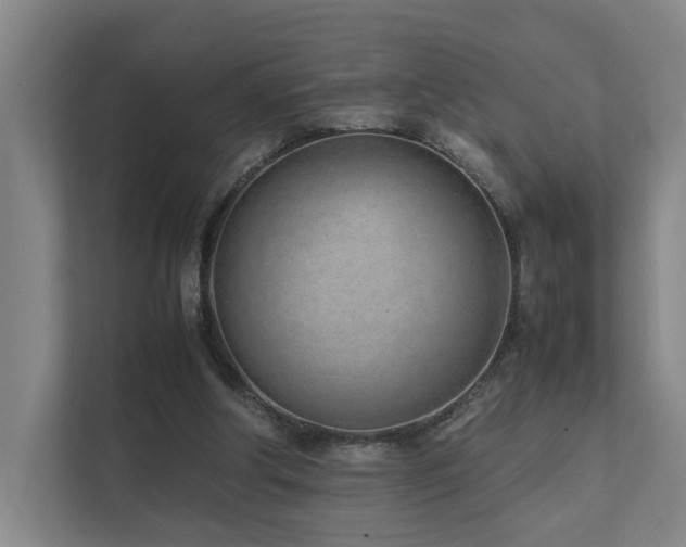 X0000111780202200907231129