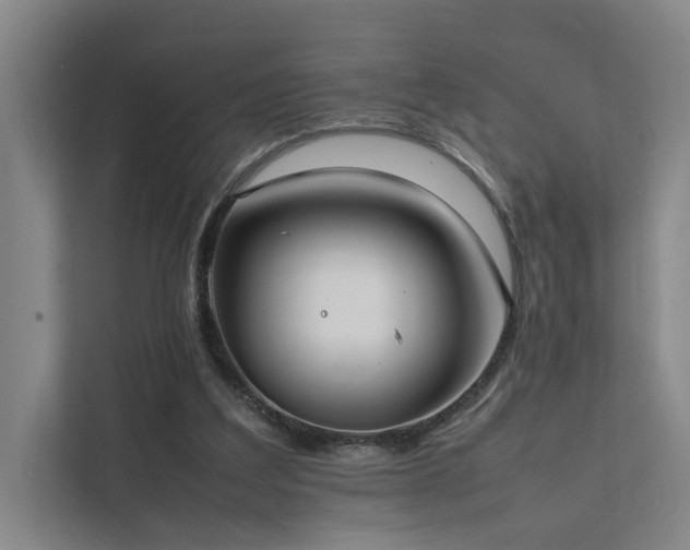 X0000111780203200907231129