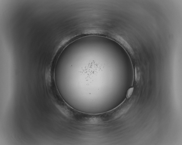 X0000111780204200907231129