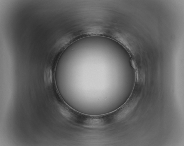 X0000111780205200907231129