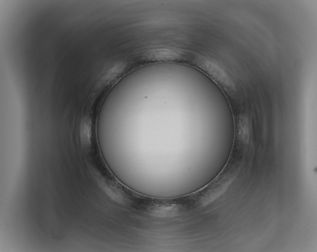 X0000111780206200907231129