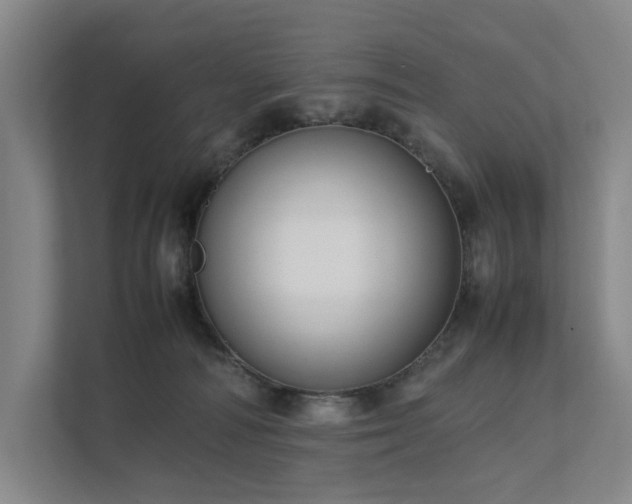 X0000111780226200907231129