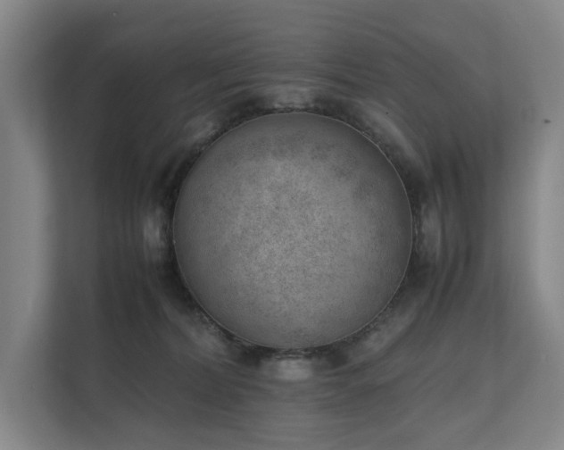 X0000111780228200907231129