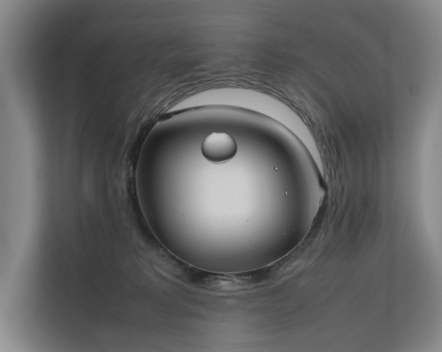 X0000111780229200907231129