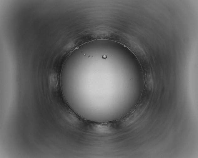 X0000111780232200907231129