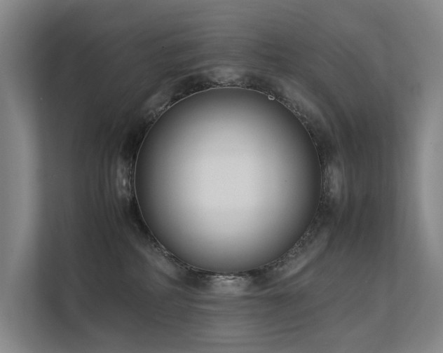 X0000111780234200907231129