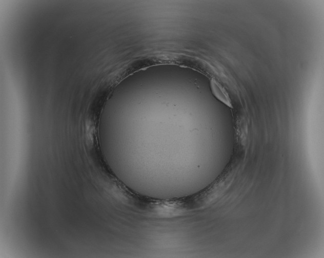 X0000111780235200907231129