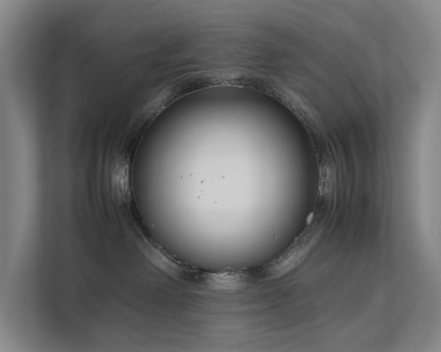 X0000111780238200907231129