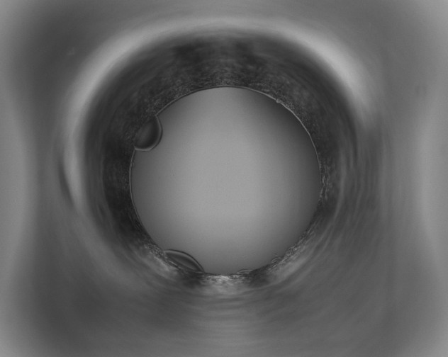 X0000111780239200907231129