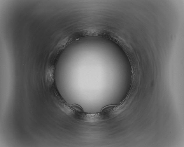 X0000111780240200907231129