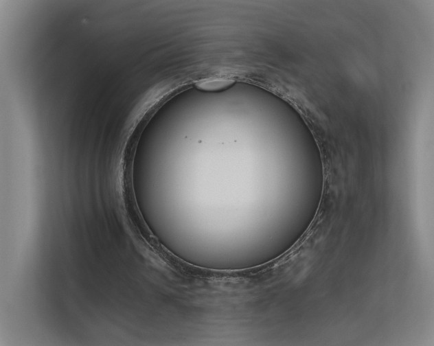 X0000111780242200907231128