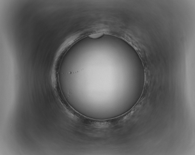 X0000111780245200907231128