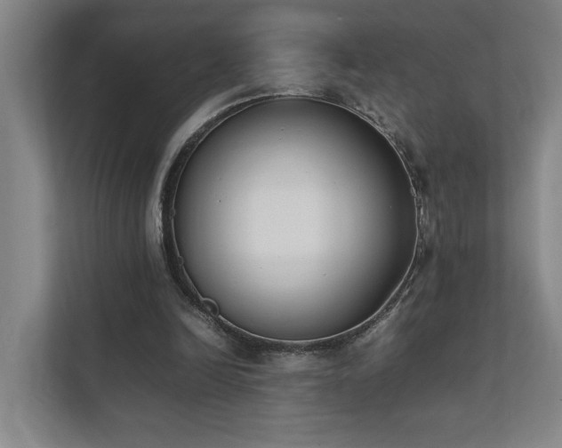 X0000111780246200907231128