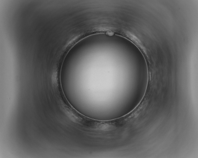 X0000111780249200907231128