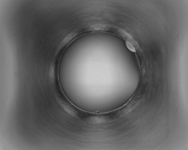 X0000111780250200907231128