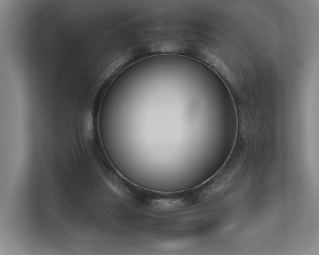 X0000111780251200907231128