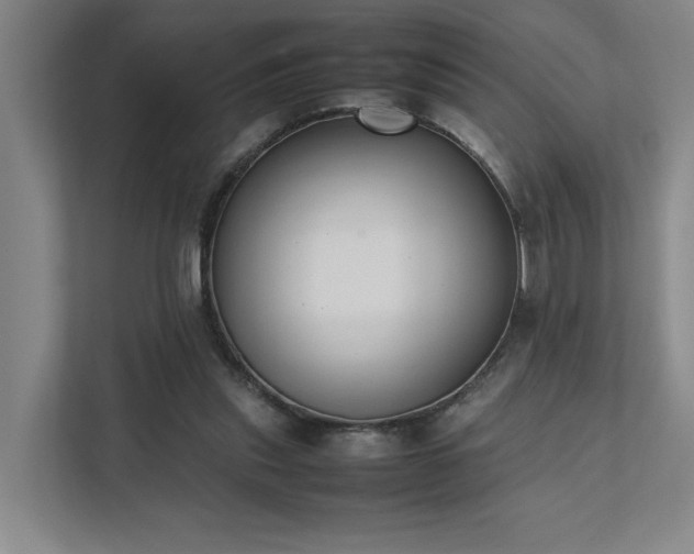 X0000111780253200907231128