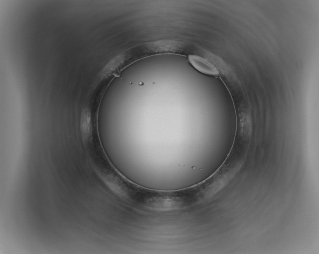 X0000111780254200907231128