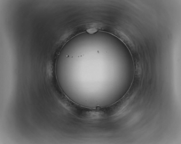 X0000111780255200907231128