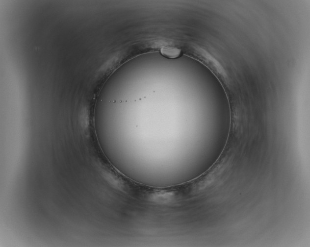 X0000111780257200907231128