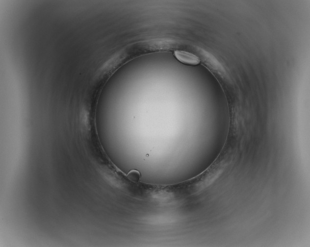 X0000111780258200907231128