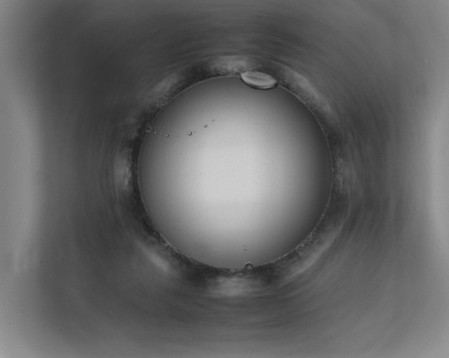 X0000111780259200907231128
