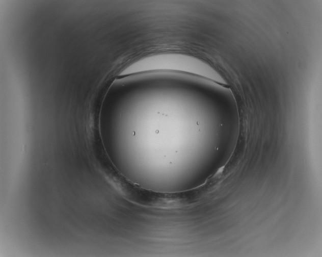 X0000111780260200907231129