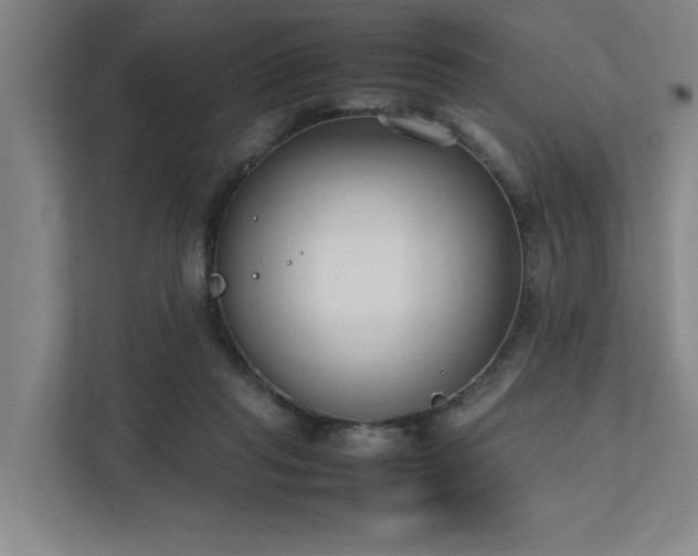 X0000111780261200907231129