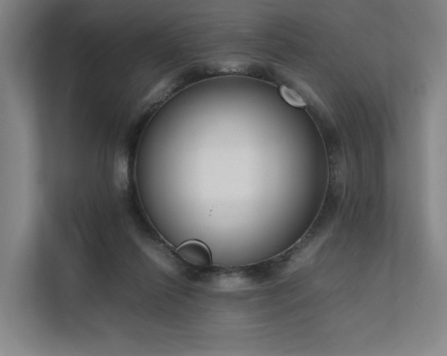 X0000111780262200907231129