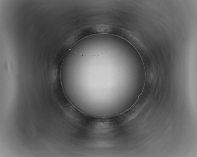 X0000111780263200907231129