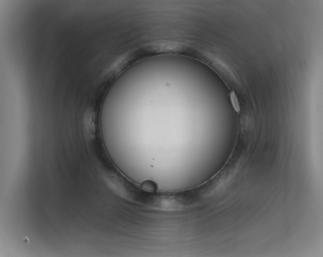 X0000111780264200907231129