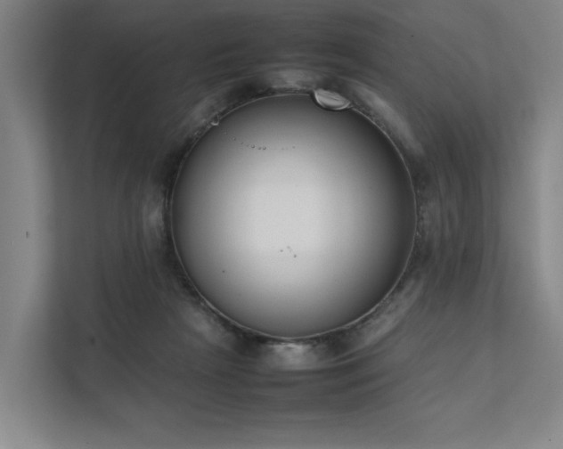 X0000111780265200907231129