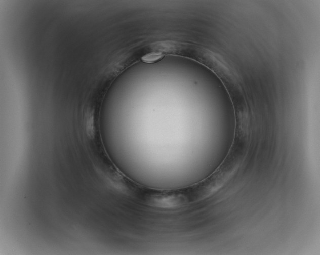 X0000111780267200907231129