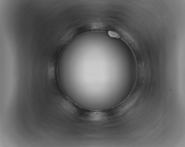 X0000111780269200907231129