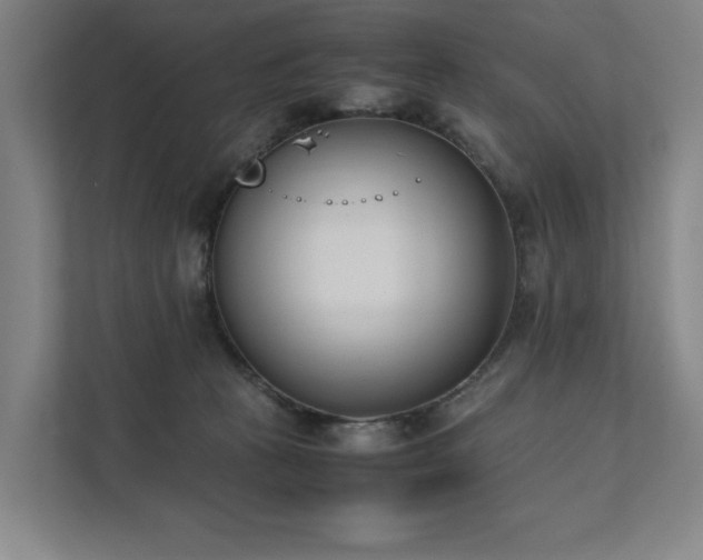 X0000111780273200907231129