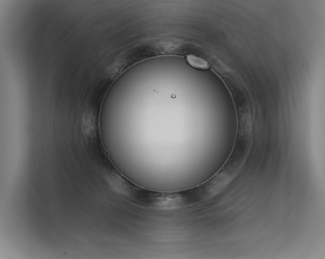 X0000111780274200907231129