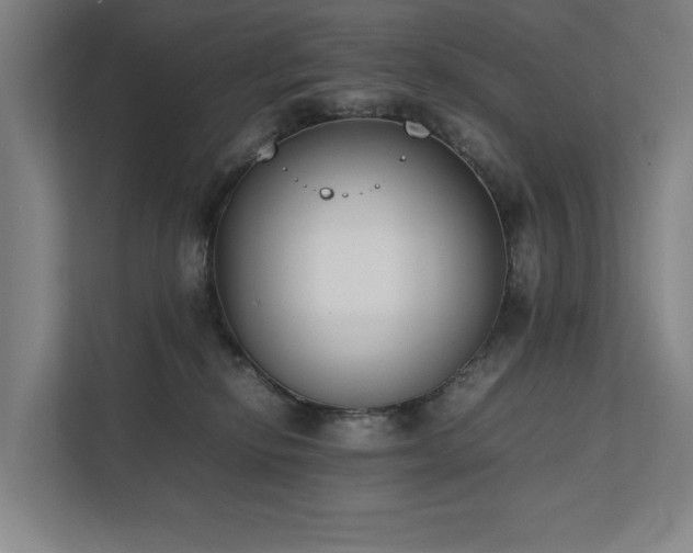 X0000111780278200907231129