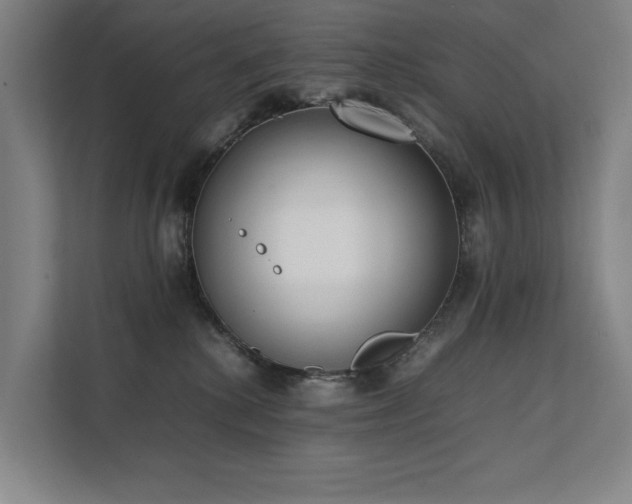 X0000111780280200907231129