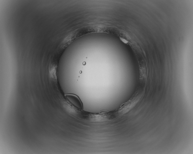 X0000111780286200907231129