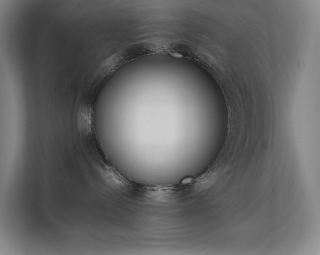 X0000111780288200907231129