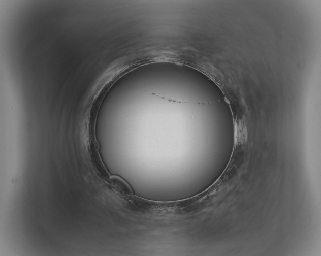 X0000111780291200907231128