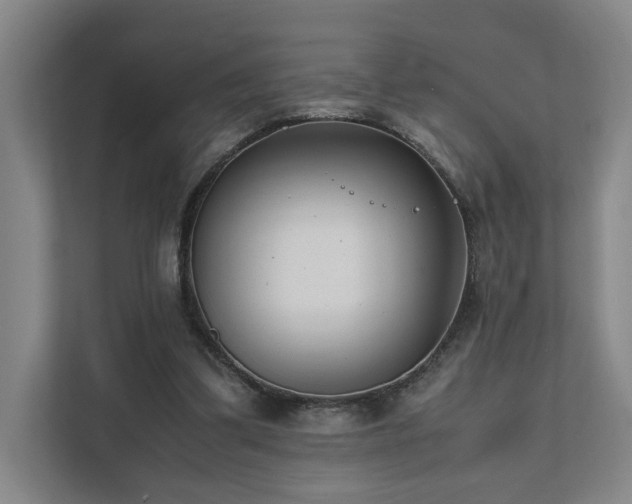 X0000111780299200907231128