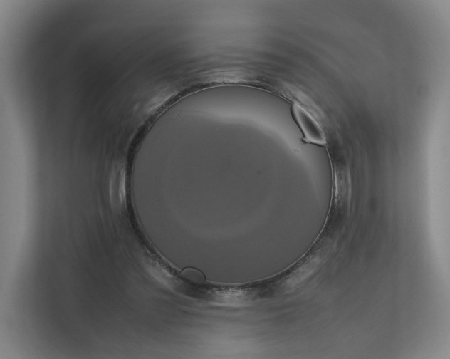 X0000111780301200907231128